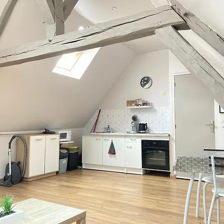 Appartement A&J Cosy - Neuvy Sur Loire - Guedelon Extérieur photo