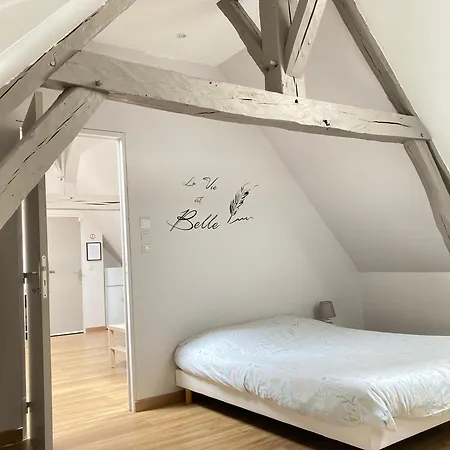 Appartement A&J Cosy - Neuvy Sur Loire - Guedelon Extérieur photo