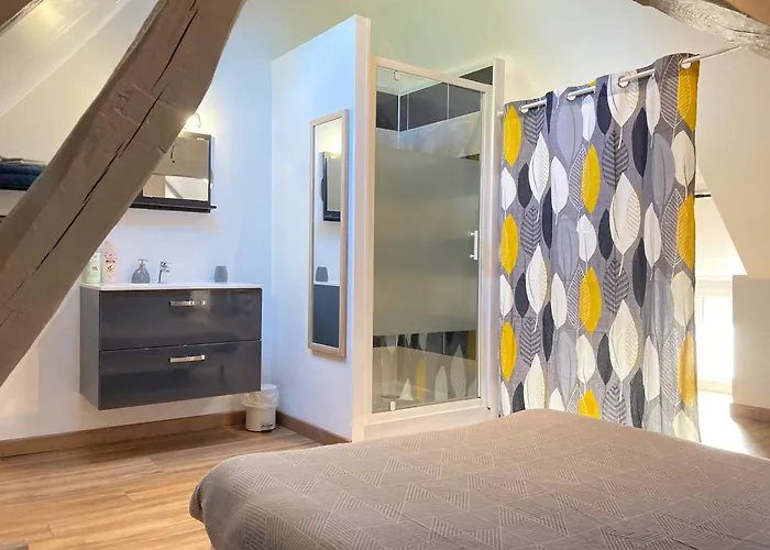 A&J Cosy - Neuvy Sur Loire - Guedelon