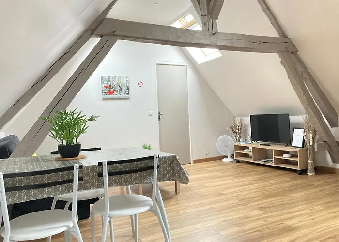 A&J Cosy - Neuvy Sur Loire - Guedelon