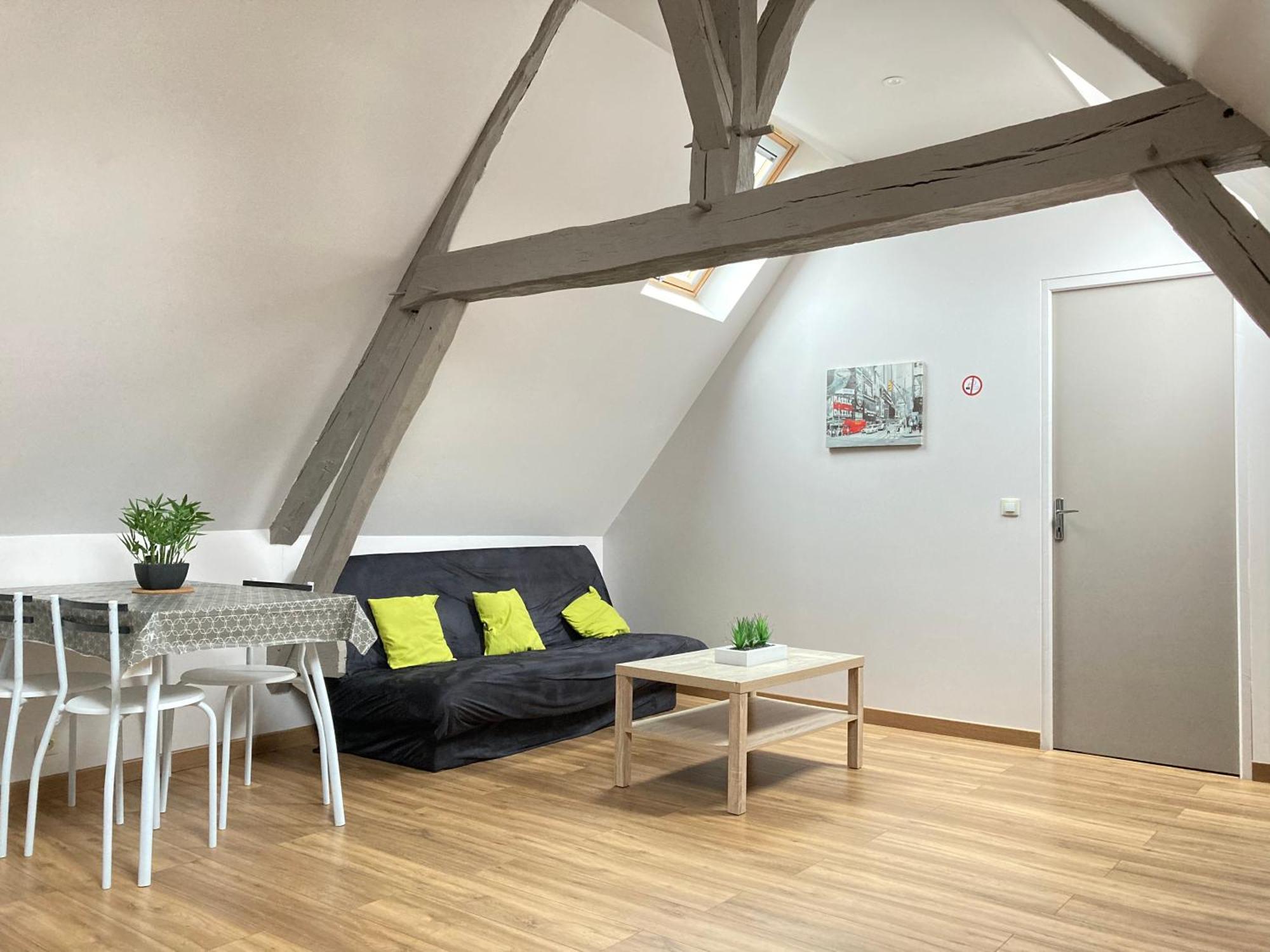 Apartment A&j Cosy - Sur Loire - Guedelon *