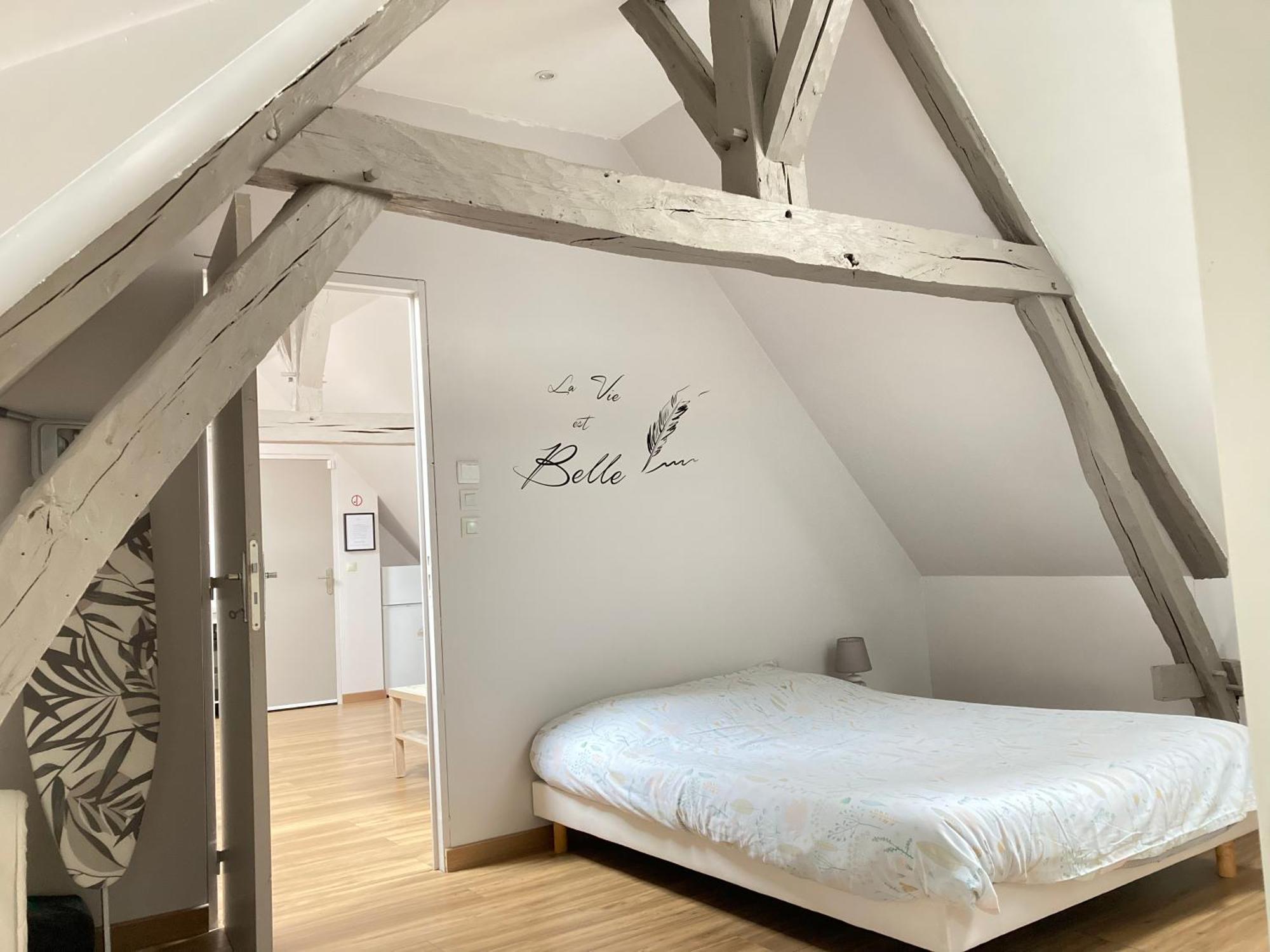 A&j Cosy - Sur Loire - Guedelon * Neuvy-sur-Loire
