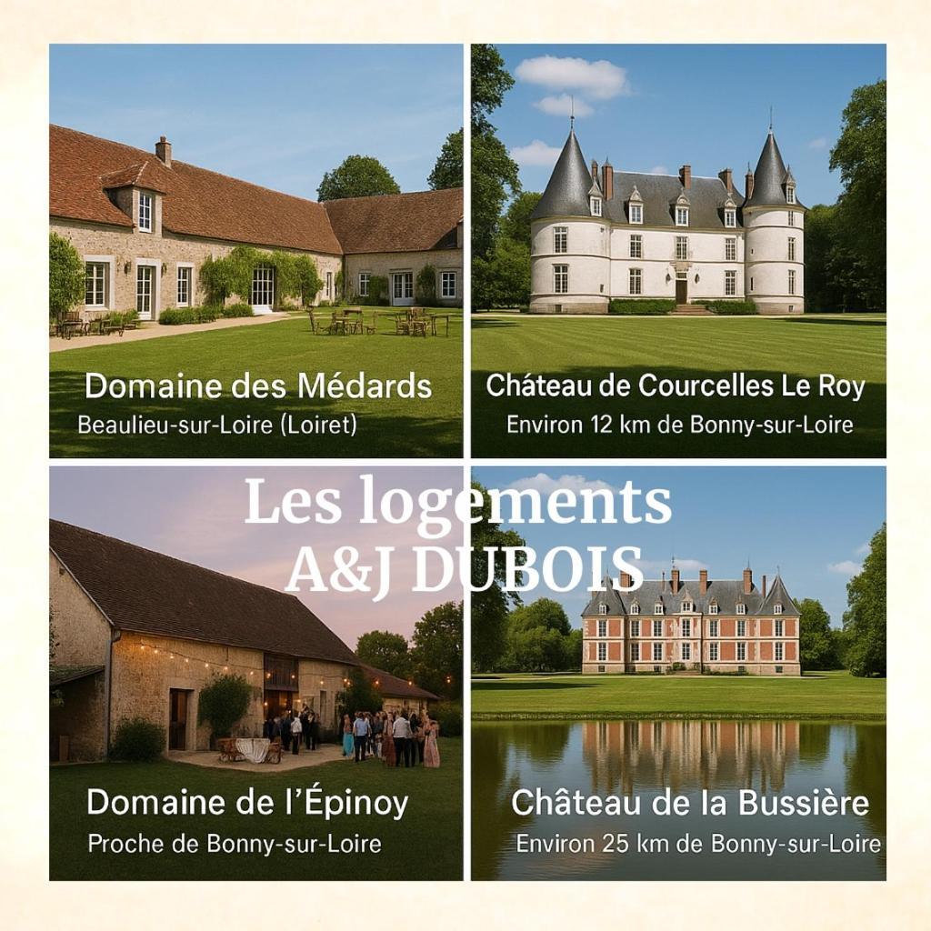 Apartment A&j Cosy - Sur Loire - Guedelon