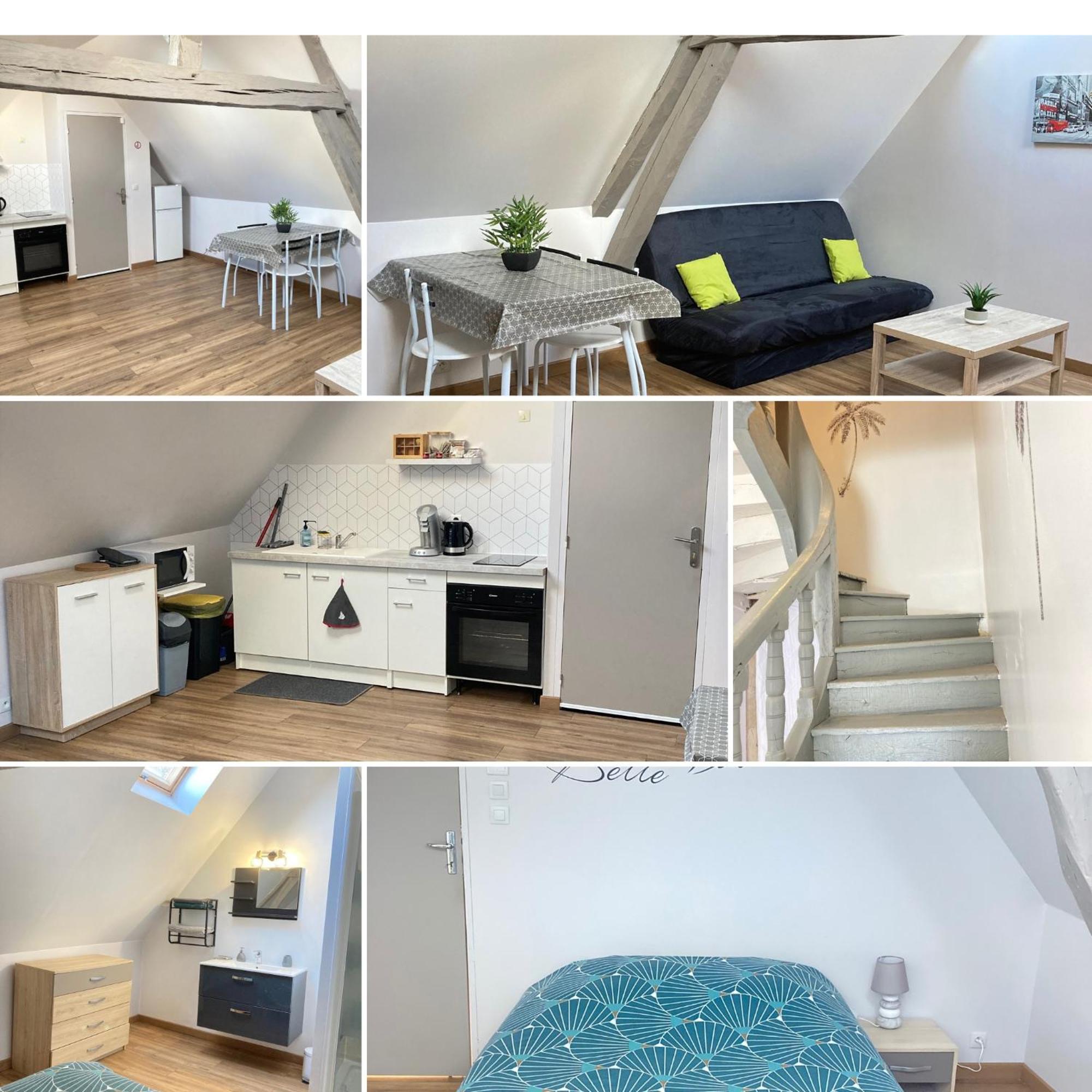 A&j Cosy - Sur Loire - Guedelon Apartment *